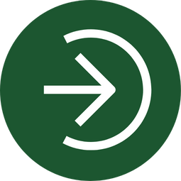 Turn Insight Into Action Icon